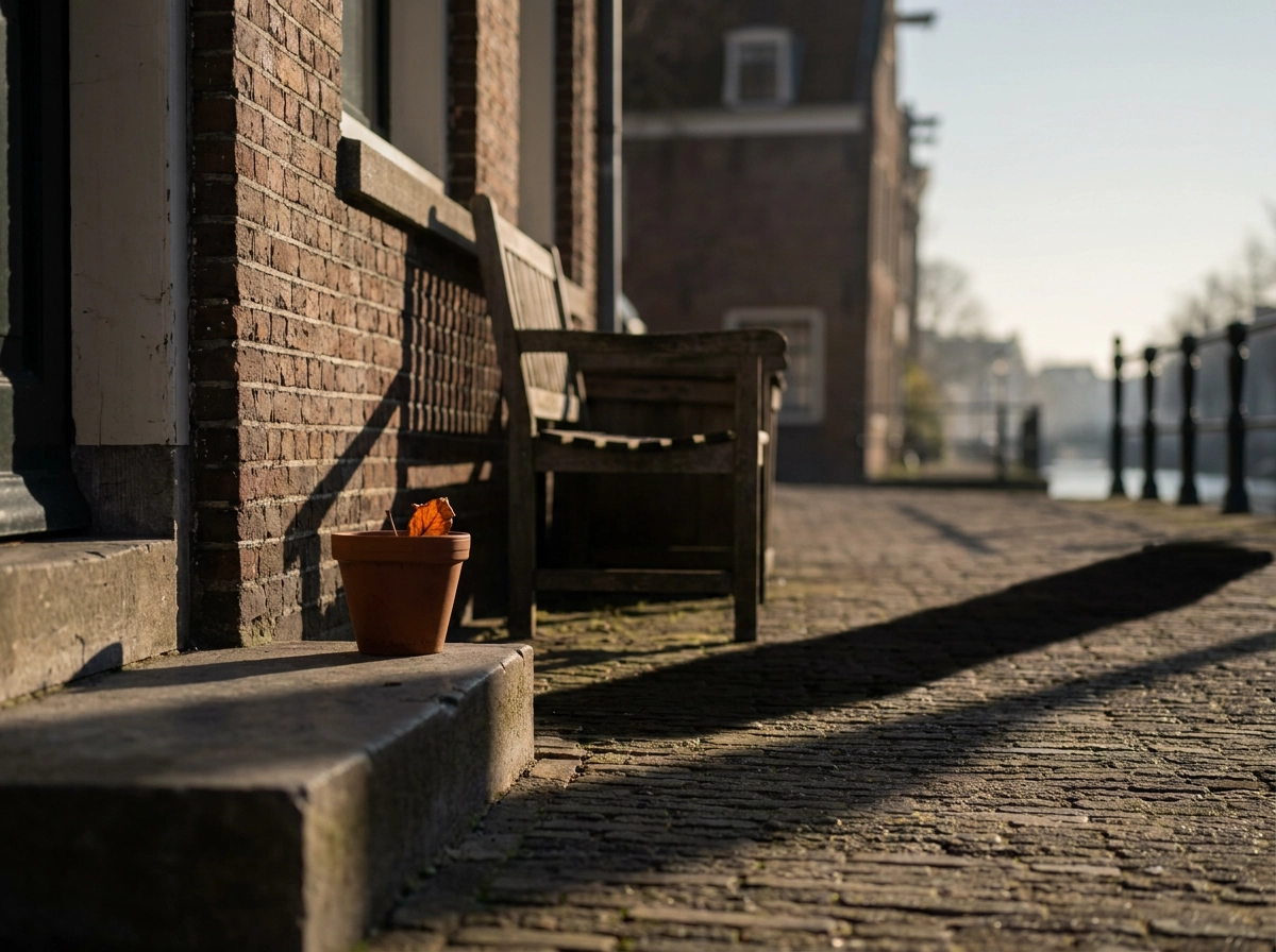 Why Sun Exposure Actually Matters When Picking a Terrace